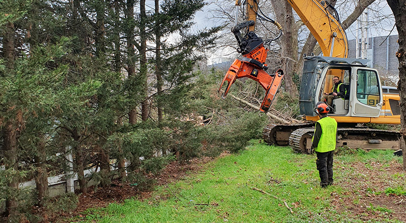Large Scale Tree Removal and Clearance